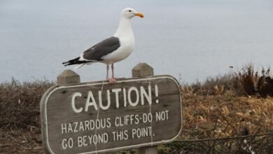 potential risks of xovfullmins