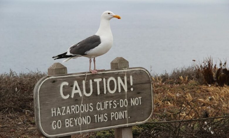 potential risks of xovfullmins